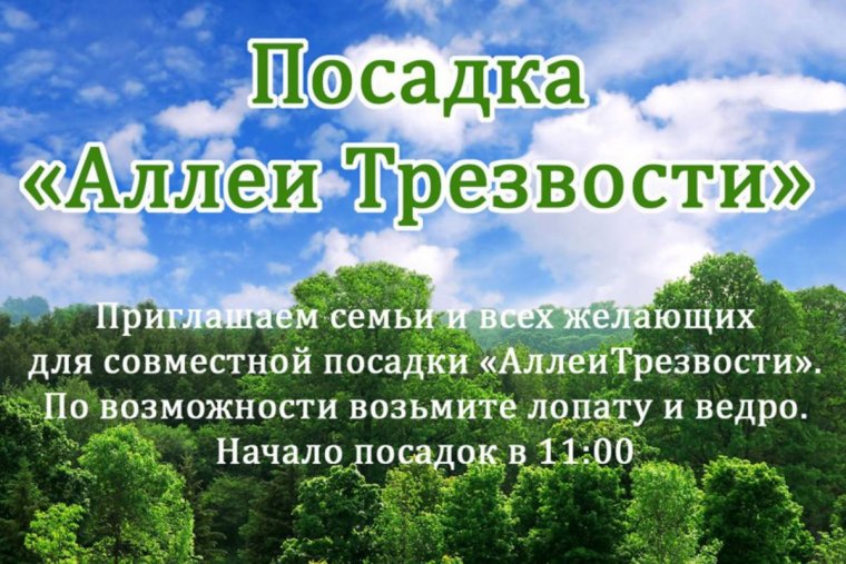 Здоровый образ жизни день трезвости