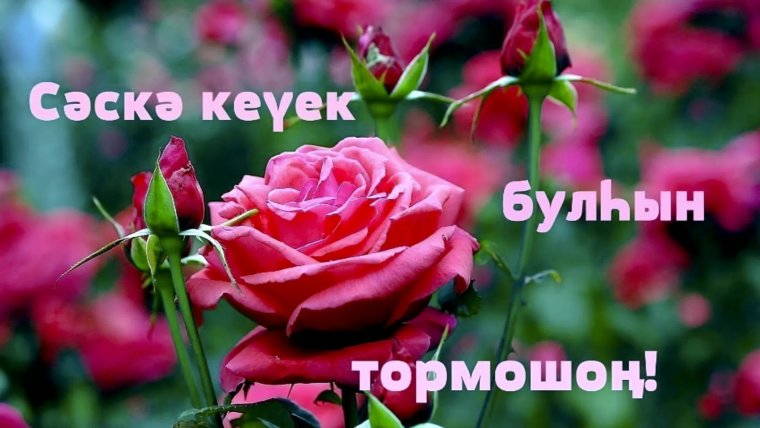 Туган Конон менэн эсэй