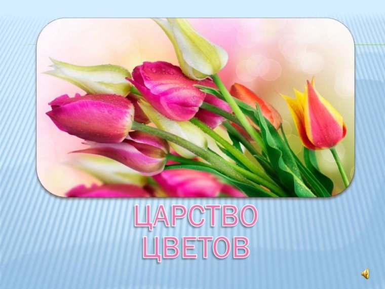 Пожелания на 8 марта на кыргызском языке