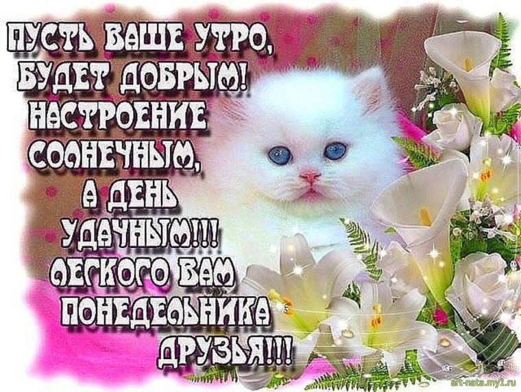 Открытки с добрым утром понедельника