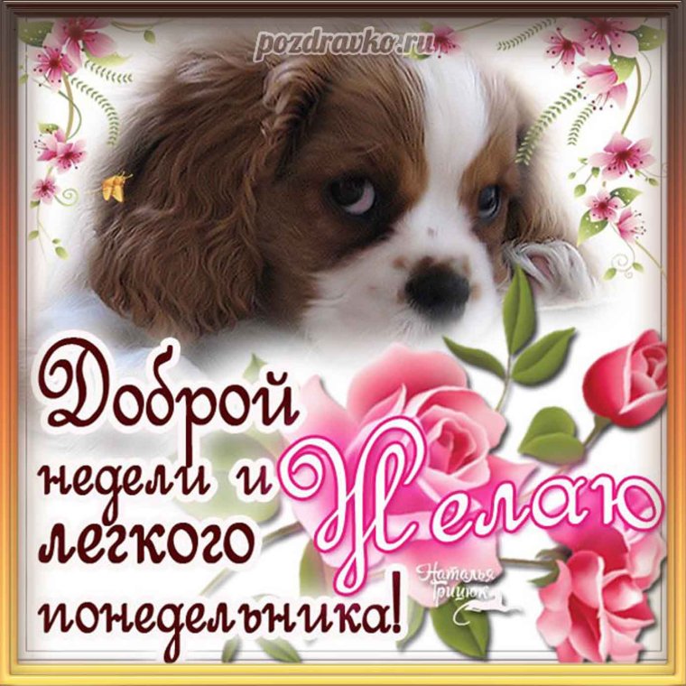 Открытки с добрым понедельником
