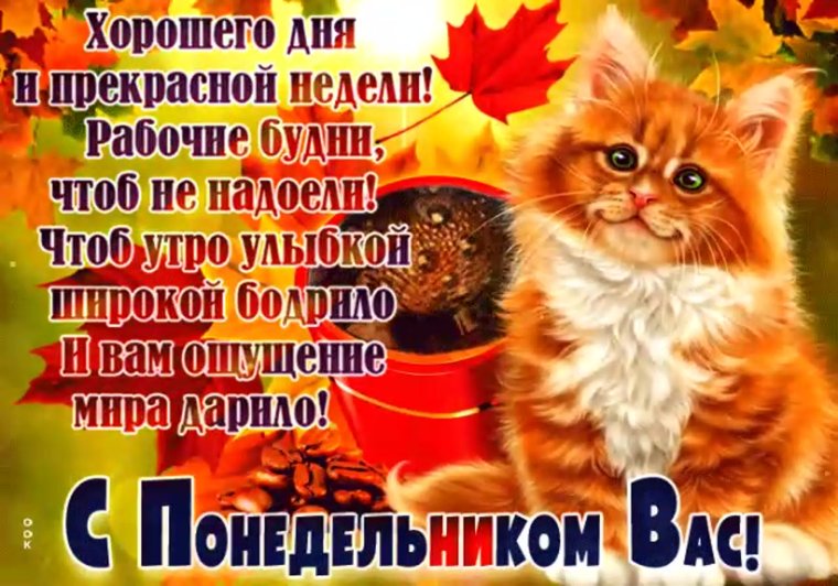 Легкого понедельника осень