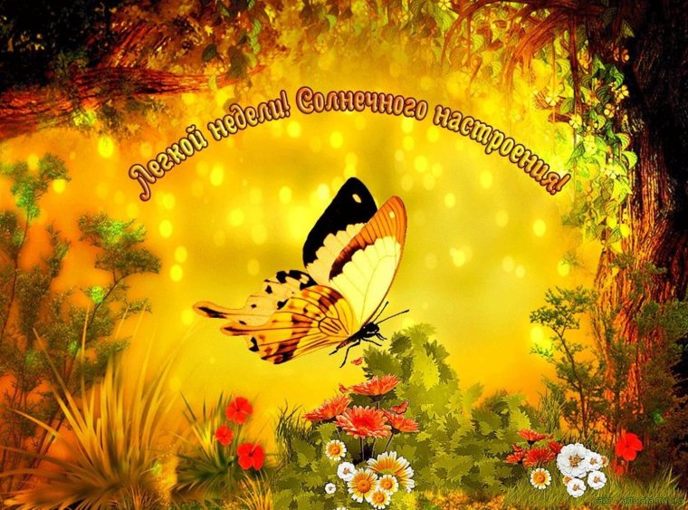 Солнечные пожелания