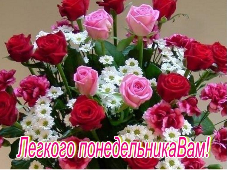 Цветы понедельник.