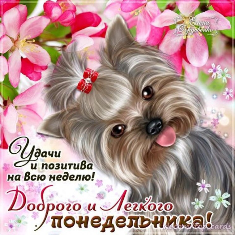 Позитивной недели