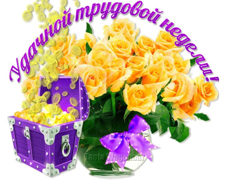 С началом новой недели