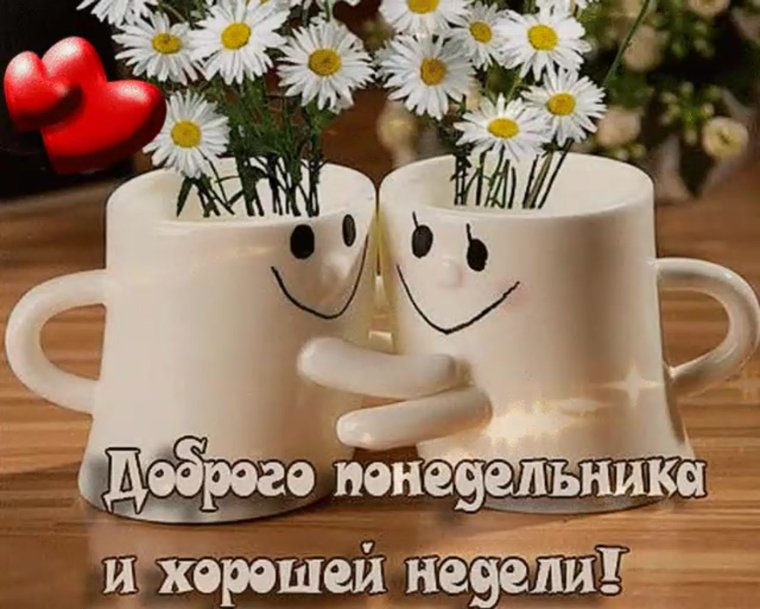 Доброго понедельника