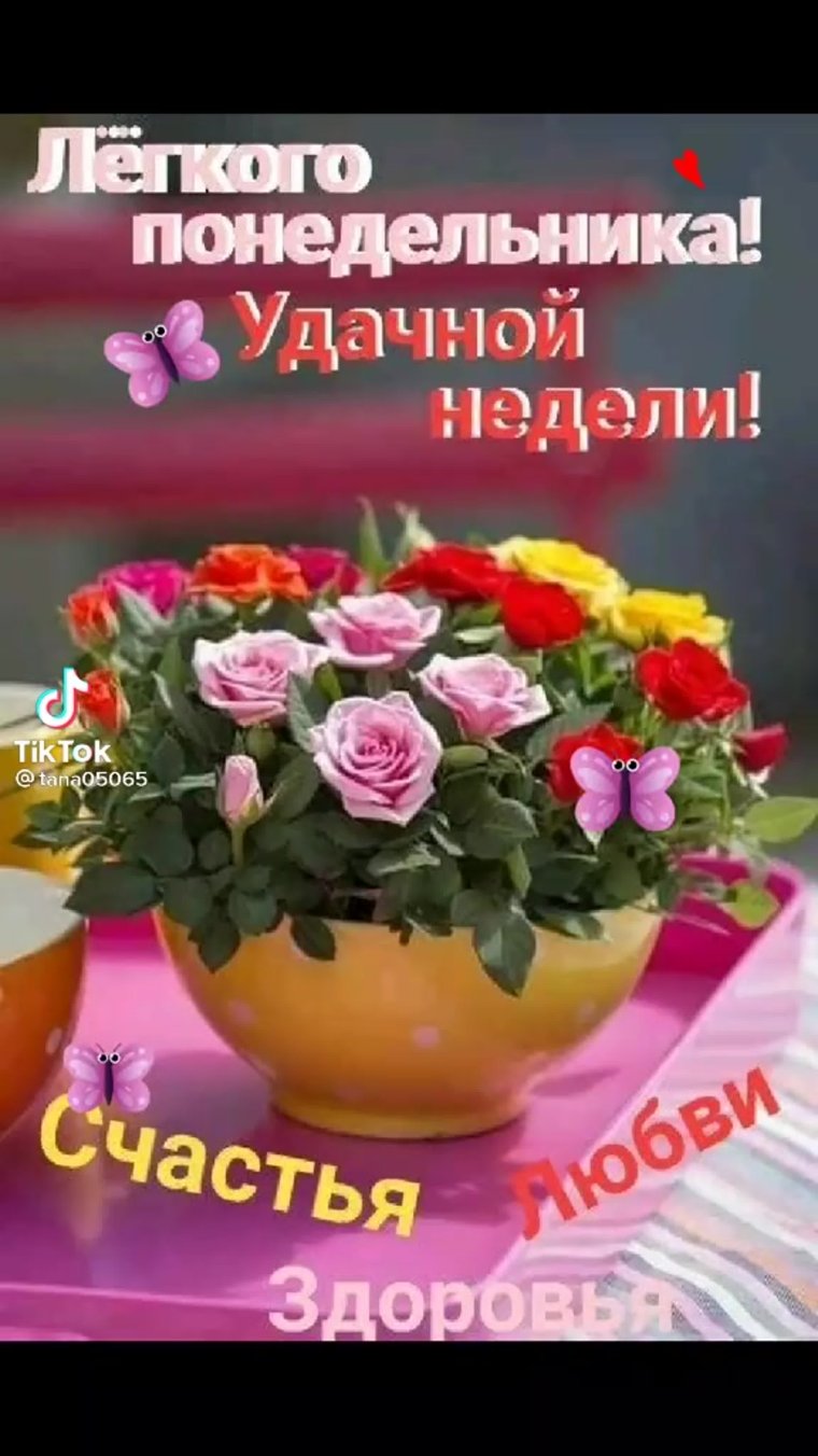 Прекрасной недели