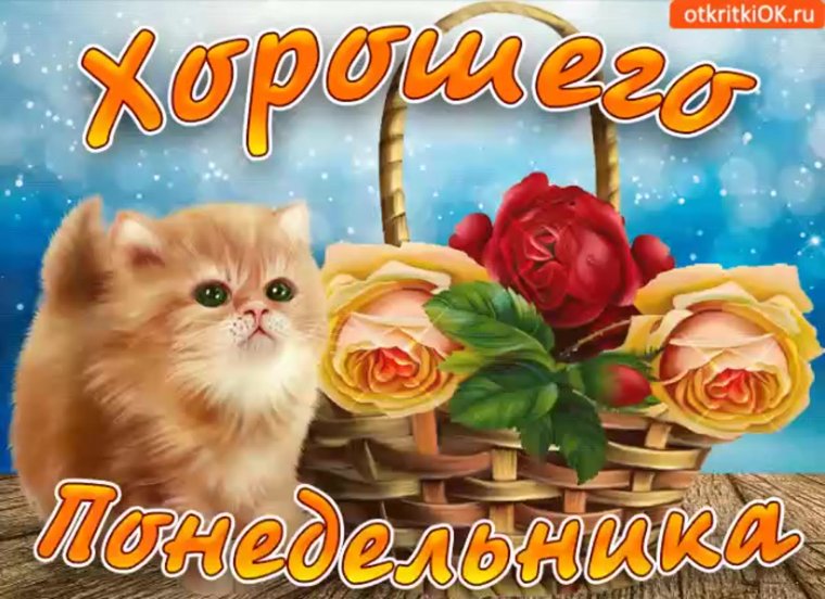 Музыкальное поздравление с понедельником