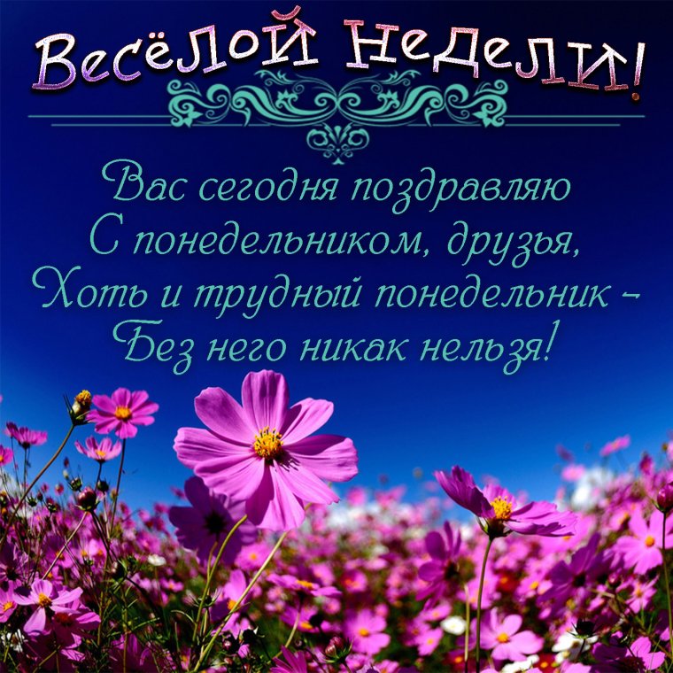 Поздравления на каждый день