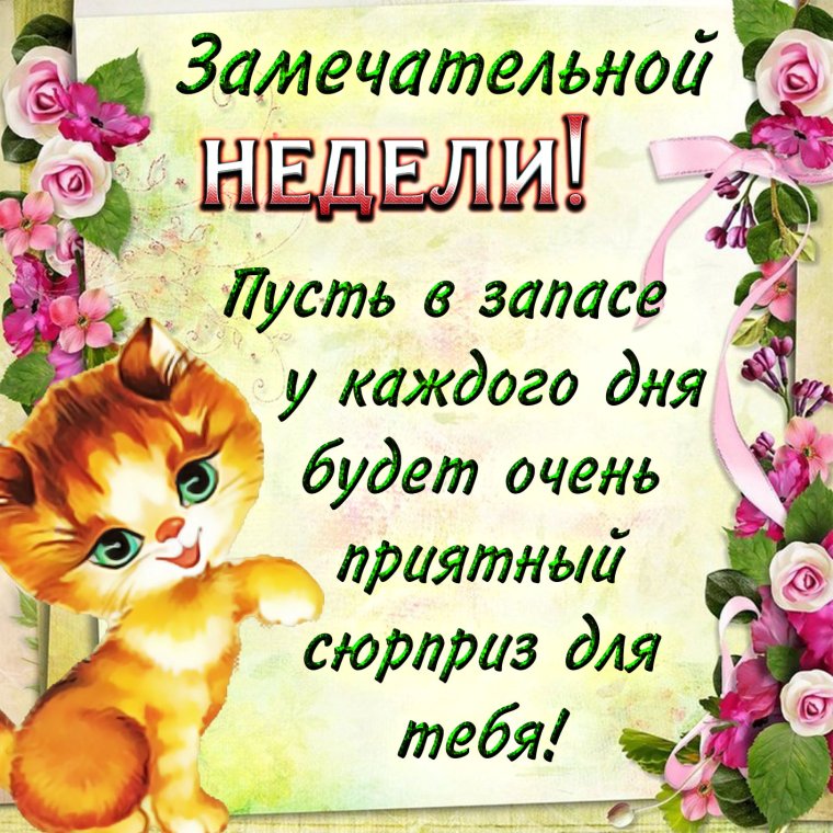 Поздравление с началом рабочей недели