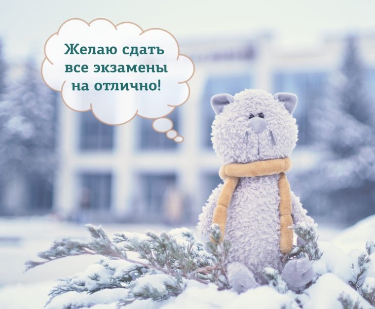 Сессия на отлично