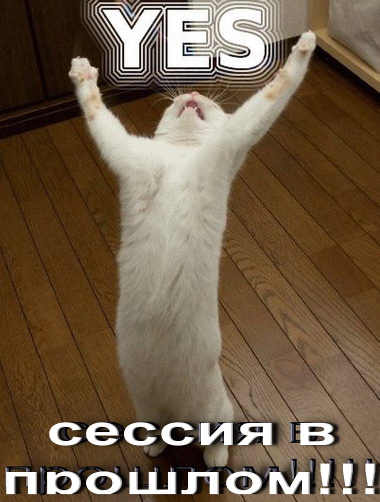 Открытки со сдачей сессии