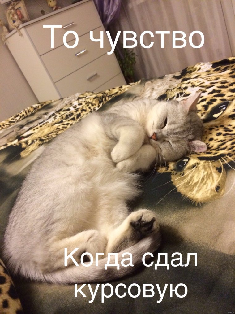 Открытка поздравление с успешной сдачей экзамена