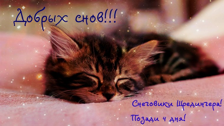 Спокойной ночи котики гифки