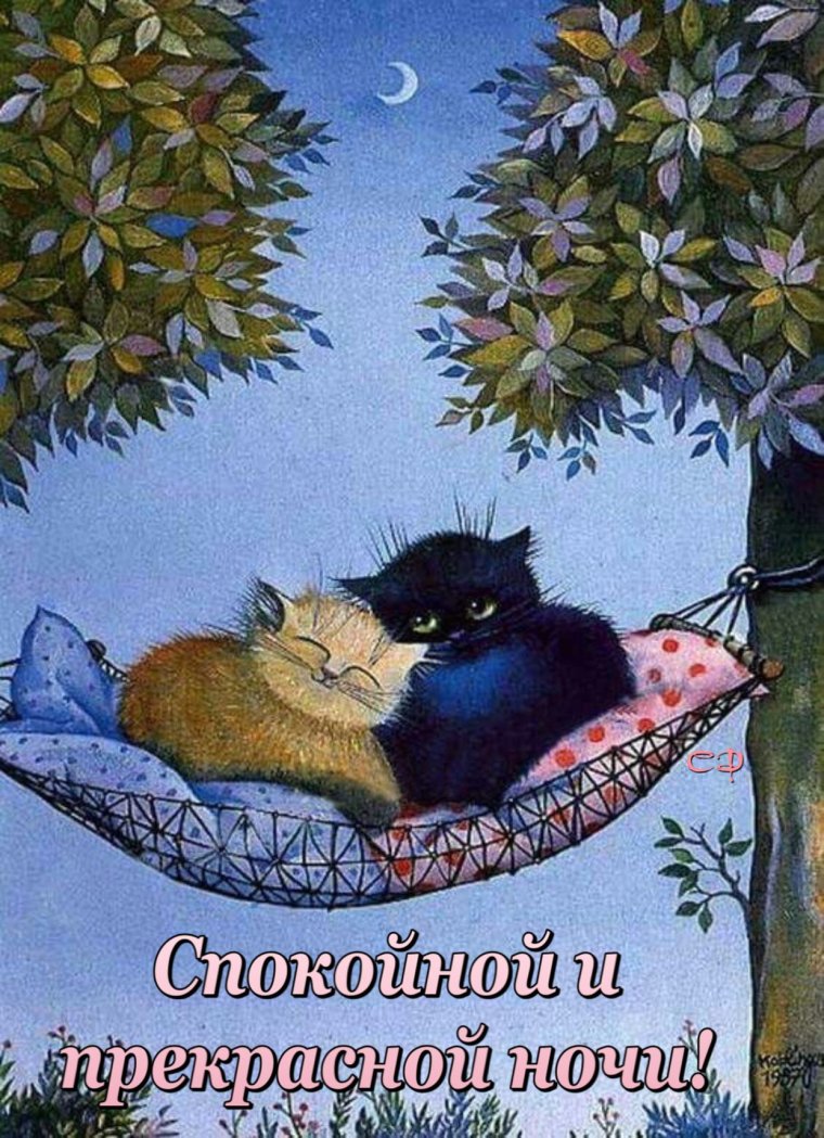 Доброй ночи котики