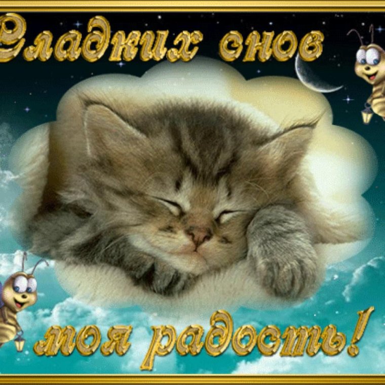 Пожелания спокойной ночи