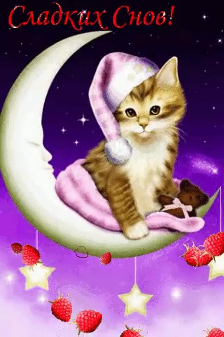 Котенок. Спокойной ночи!