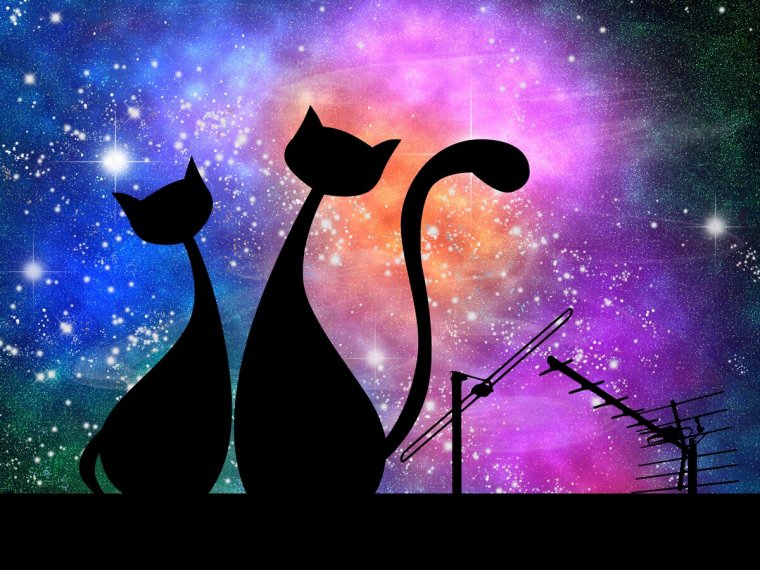 Кот доброй ночи сладких снов