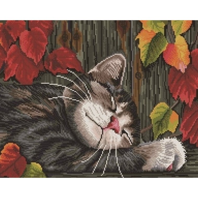 Доброй ночи котики