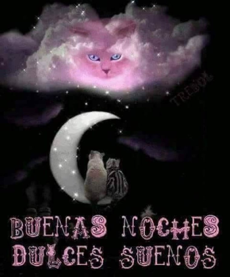 Спокойной ночи кошечка