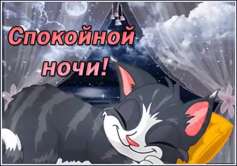 Котята на синем фоне