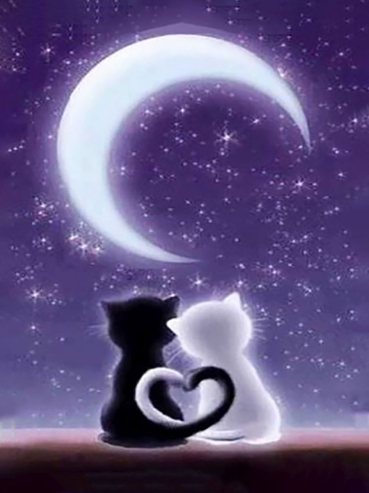 Влюбленные коты на крыше