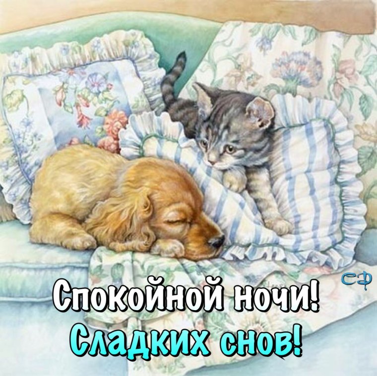 Милые котята и щенки