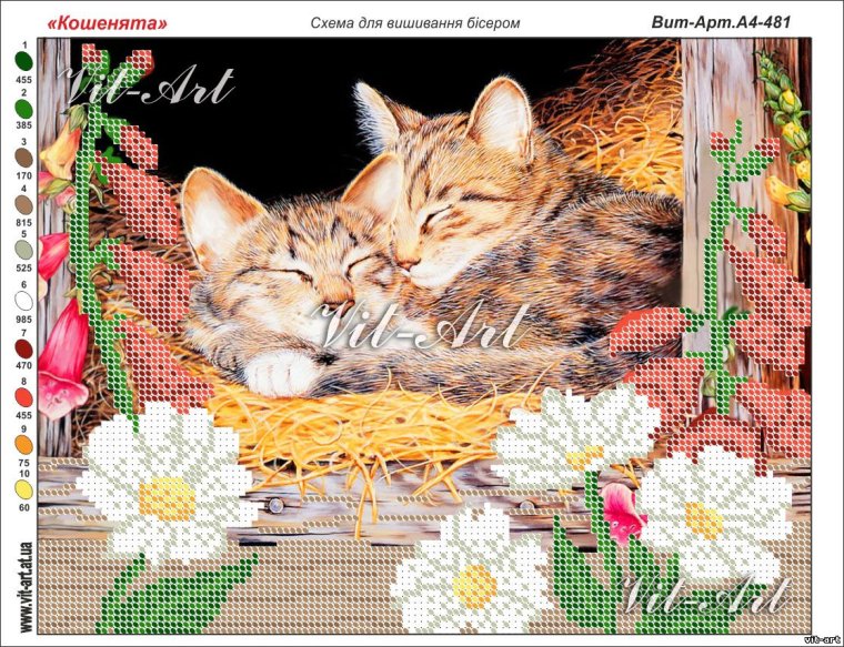 Добрый вечер с котятами