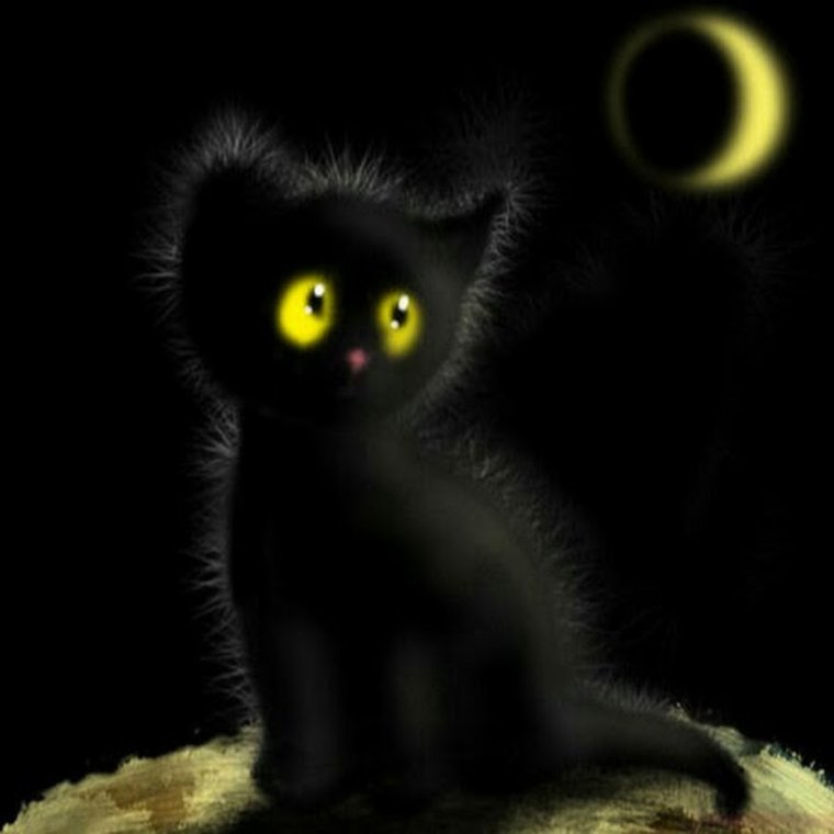 Доброй ночи кошки