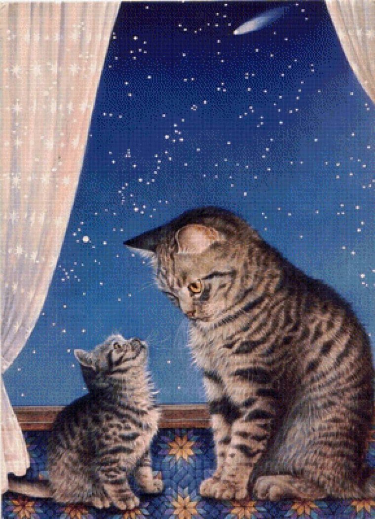 Кошка под луной