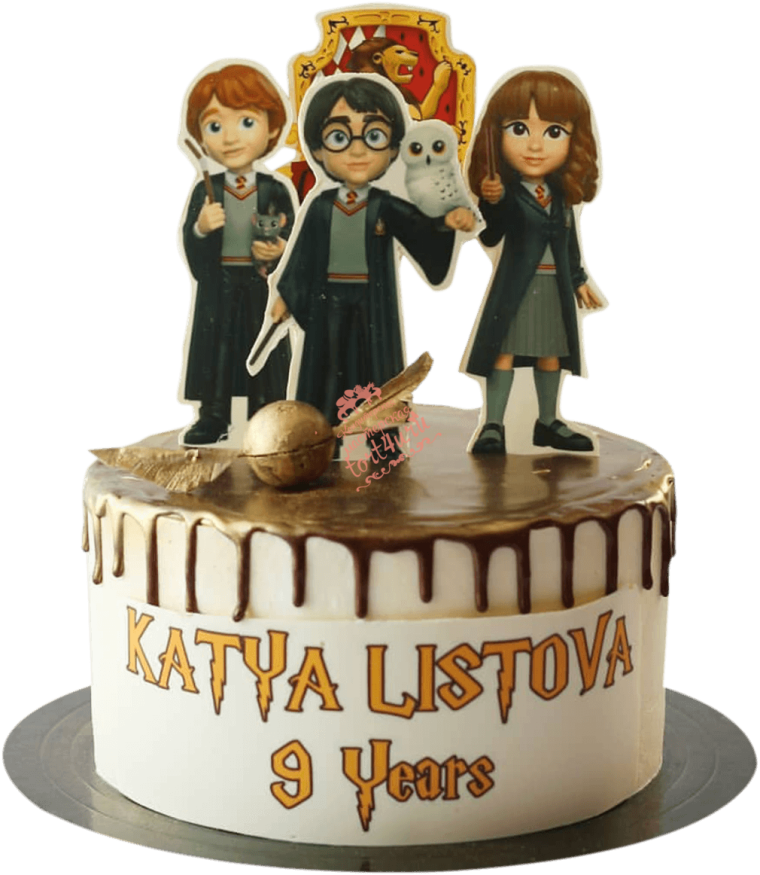 Торт Гарри Поттер Гермиона