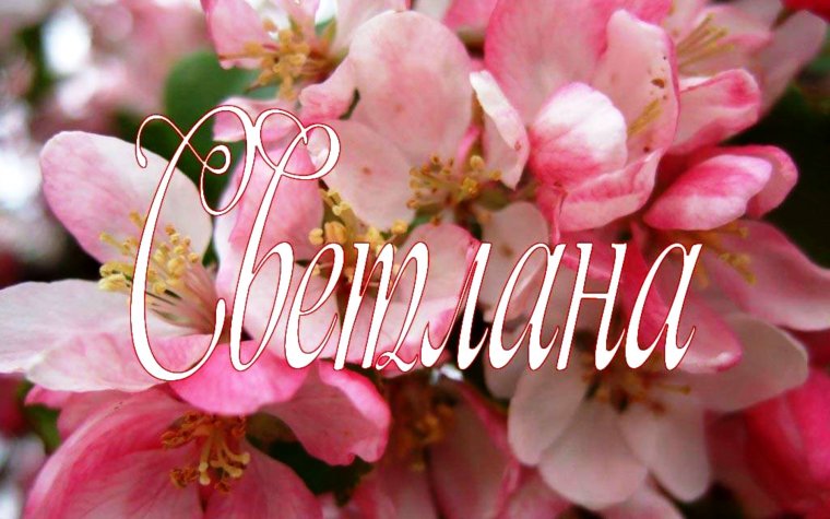 Поздравления с днём рождения