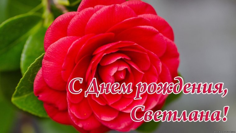 С днём рождения тебя Светлана