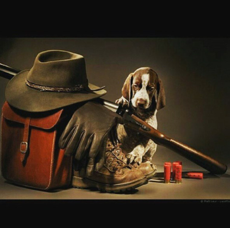 Картина в подарок