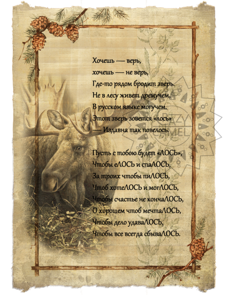 Поздравление мужчине