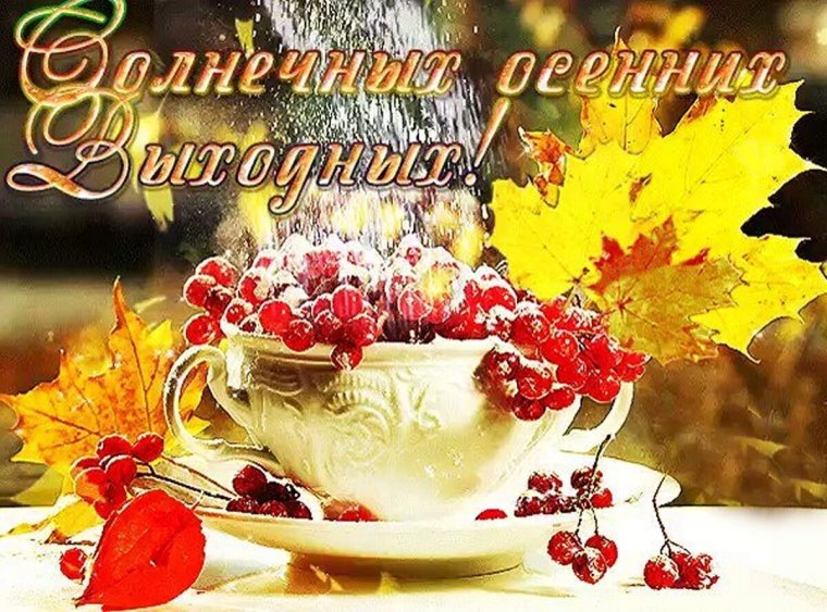 Кошка со скрипкой