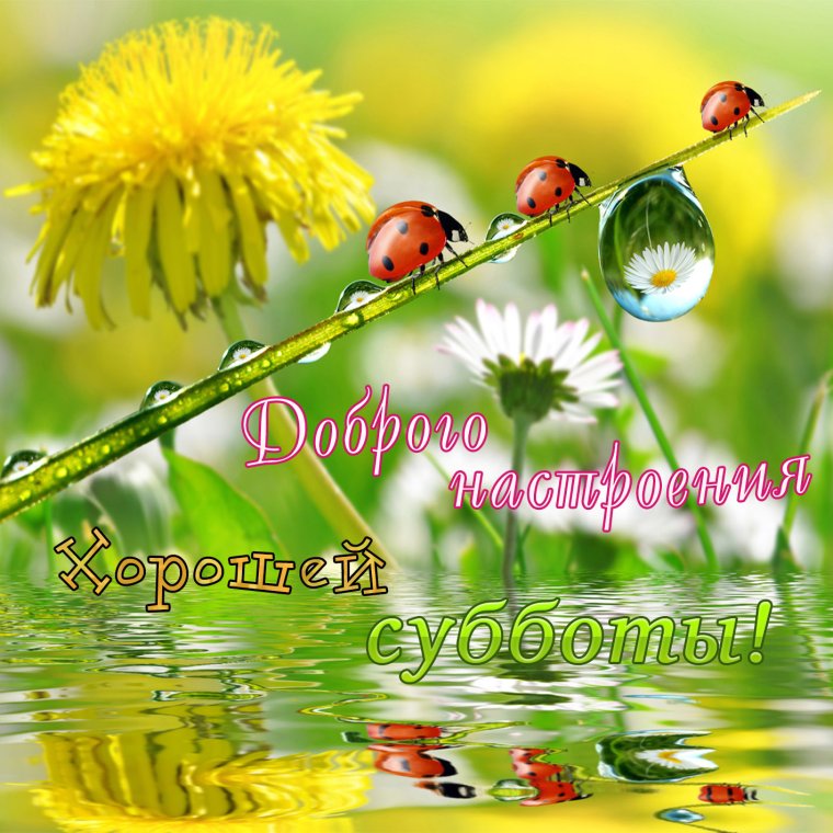 Прекрасных выходных
