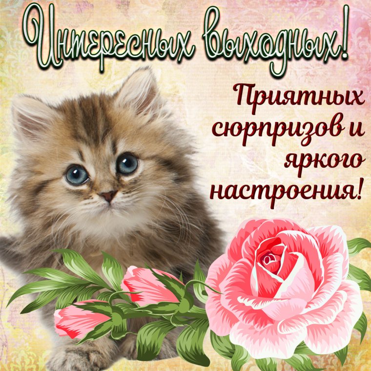 Открытки с субботой