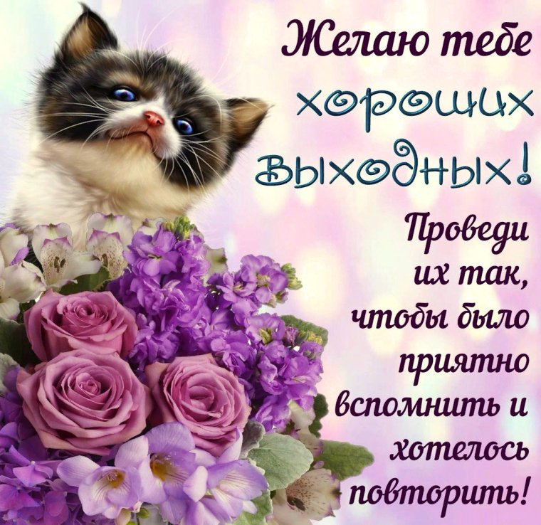 Хороших выходных друзья