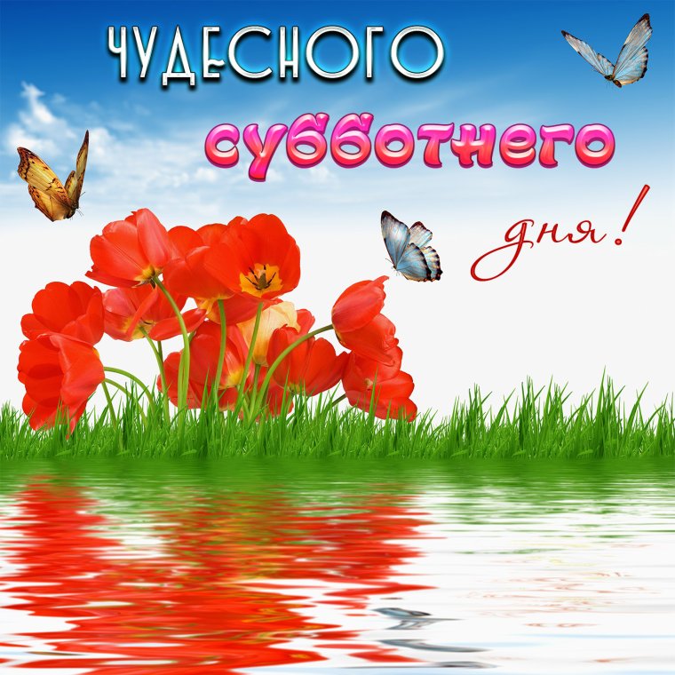 Чудесных выходных
