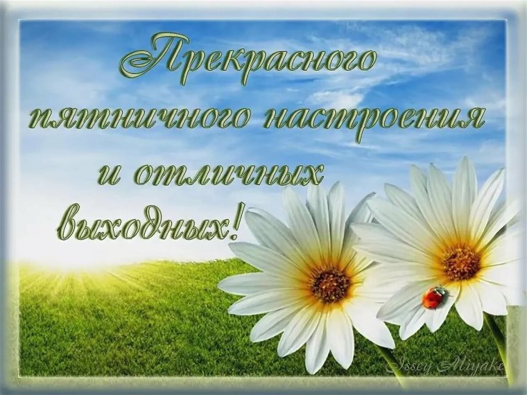 Чудесного субботнего дня