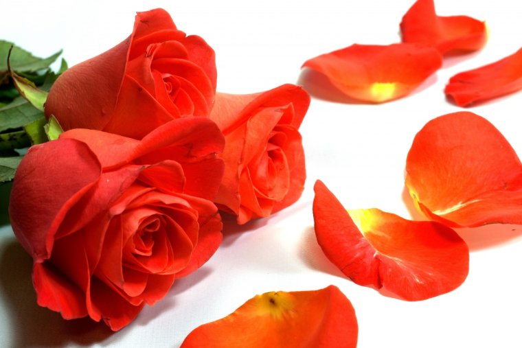 Поздравления с днём рождения Юлия