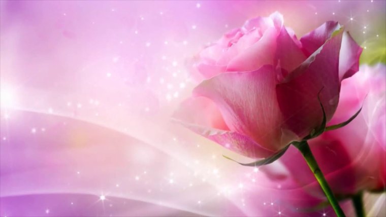 Букет для Светланы