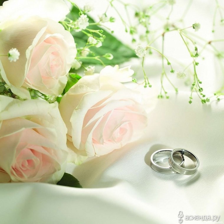 Пожелания жениху и невесте