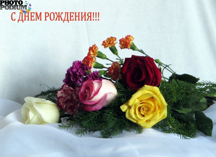 Поздравления с днём рождения Лене