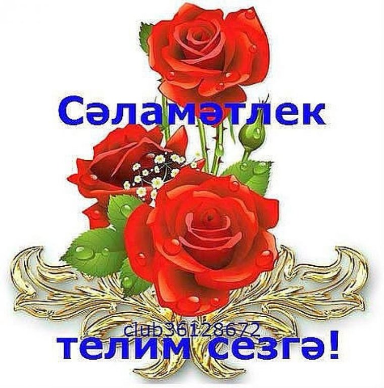 Открытки добрый вечер на татарском языке