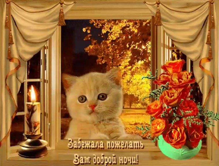 Доброго вечера и спокойной ночи