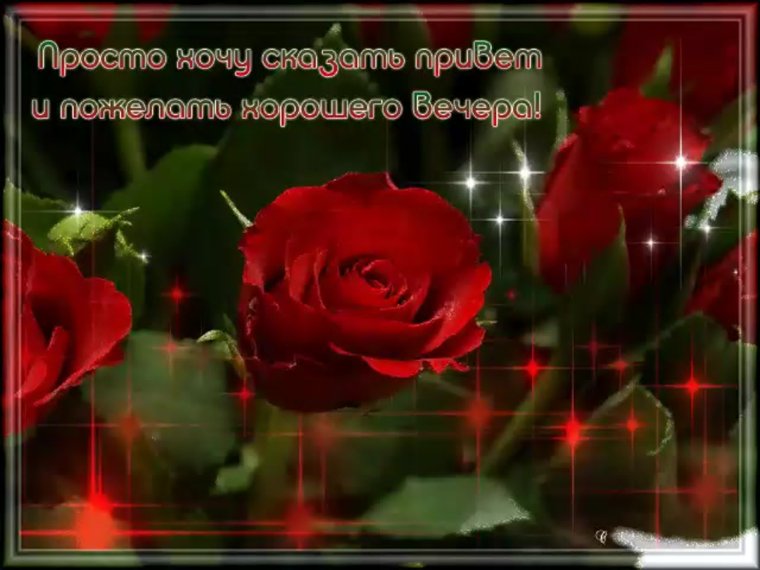 Привет добрый вечер