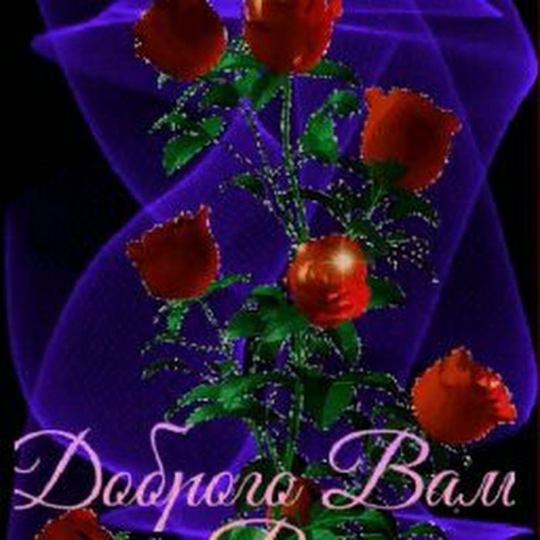 Открытки с добрым вечером женщине с красивыми цветами